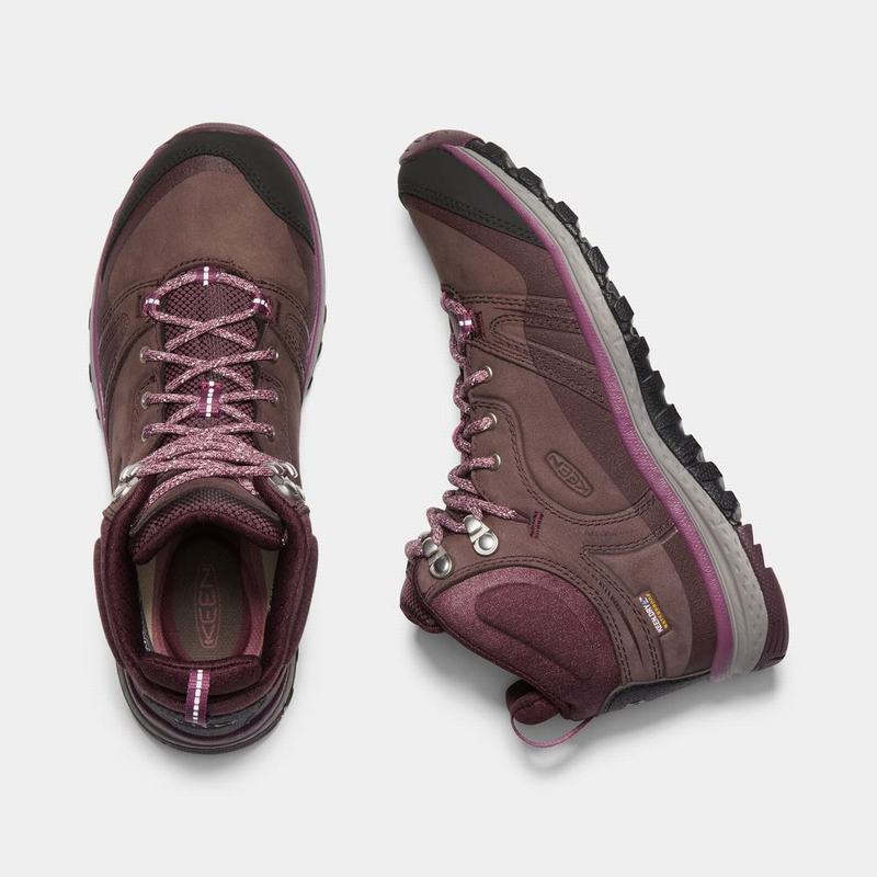 Discount Keen Terradora Leather Waterproof Mid Womens Hiking Boots Purple (9364-NVPDL)